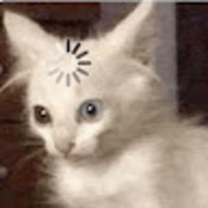 Meet your Posher, Abigail